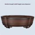 Classical purple clay flower pot for gardening with green plant old pile finish