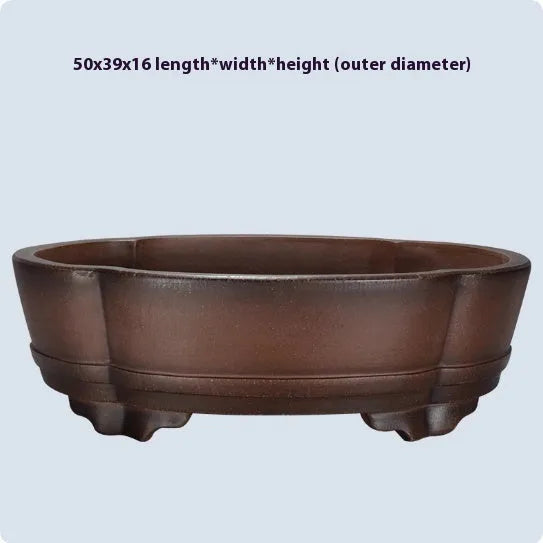 Classical purple clay flower pot for gardening with green plant old pile finish