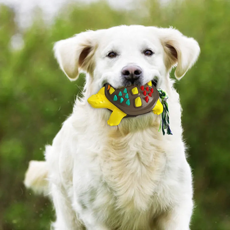 Natural rubber dog toothbrush chew toy in assorted colours with textured dental cleaning surface and knotted tail