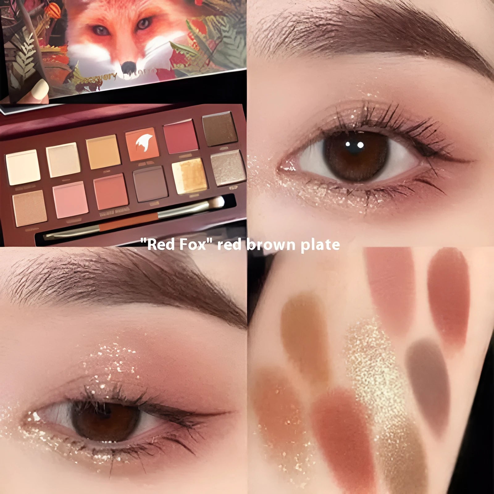 Explorer twelve-colour animal theme eyeshadow palette with twelve pressed powder shades
