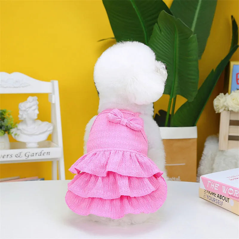 Small dog wearing a layered princess dress in a candy skirt style, available in rose red, yellow, or green.