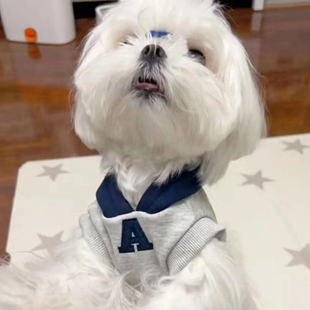 Blue and grey white pet hoodie with reflective letters for cats and dogs in slim-fitting design