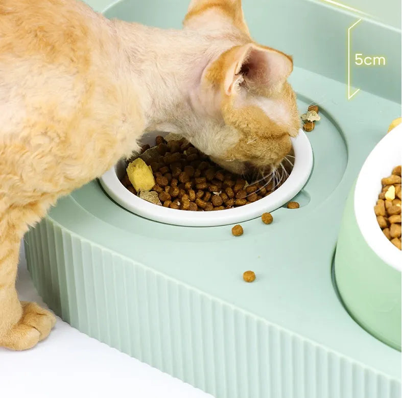 Ceramic cat food bowl designed to protect cervical spine, in green, beige, or white, single or double layer, multiple pack sizes 2-6 bowls.