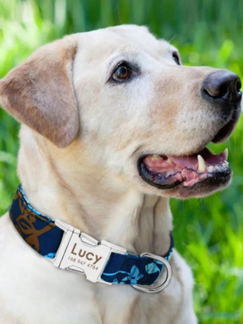 Dog collar in black, green, and rose red colour options, three sizes S M L for everyday walking