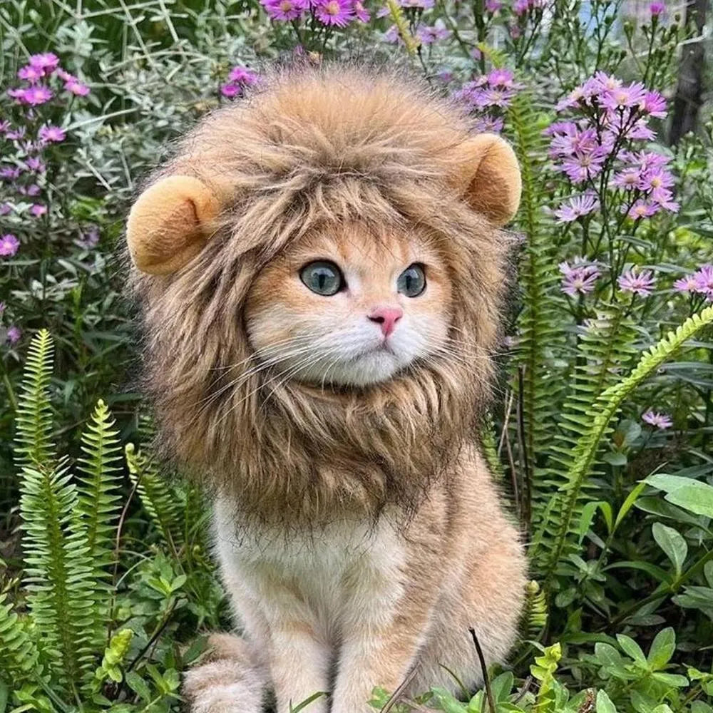 Lion mane wig accessory for a cat showing plush ears and adjustable elastic band.