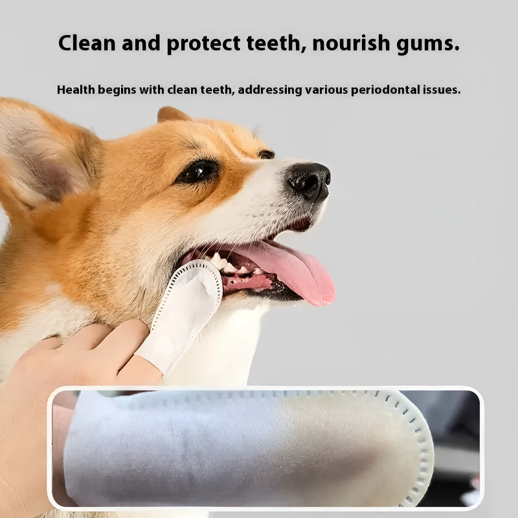 Pack of 50 white non-woven fabric pet dental cleaning finger stalls or cots.