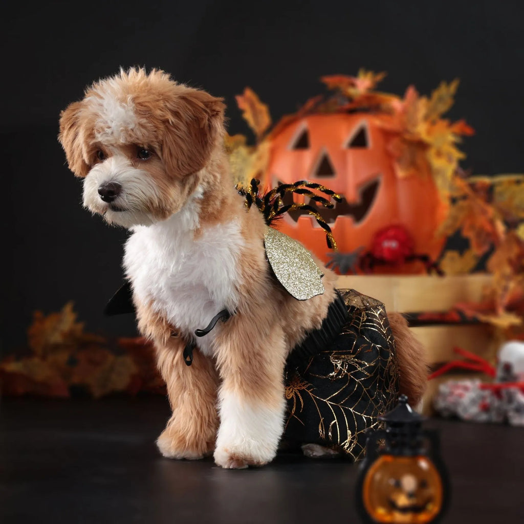 Polyester Halloween dog costume suit in sizes S M L XL for pet Halloween parties