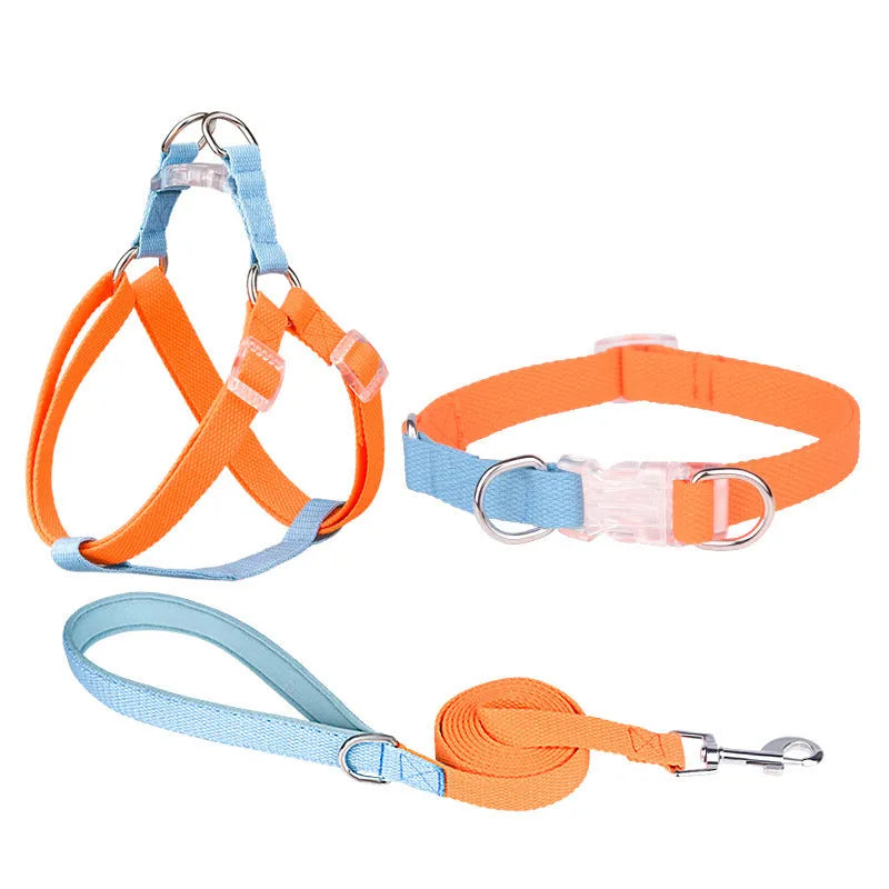 Polyester ribbon dog collar set with matching lead and chest strap in assorted colour combinations