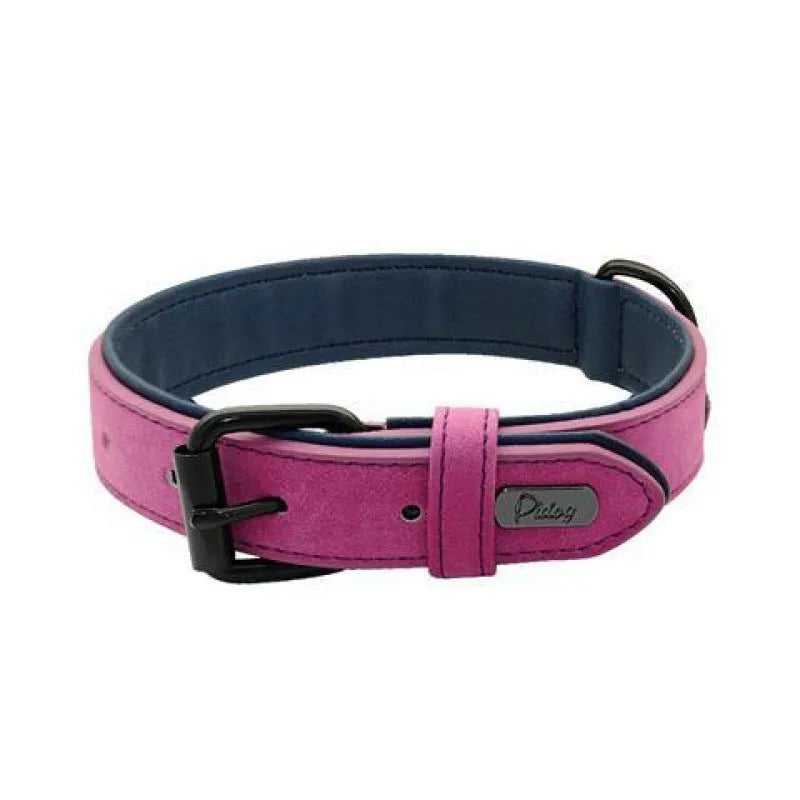 Adjustable dog collar on a white background showing PU front and microfiber back, in a choice of five colours.