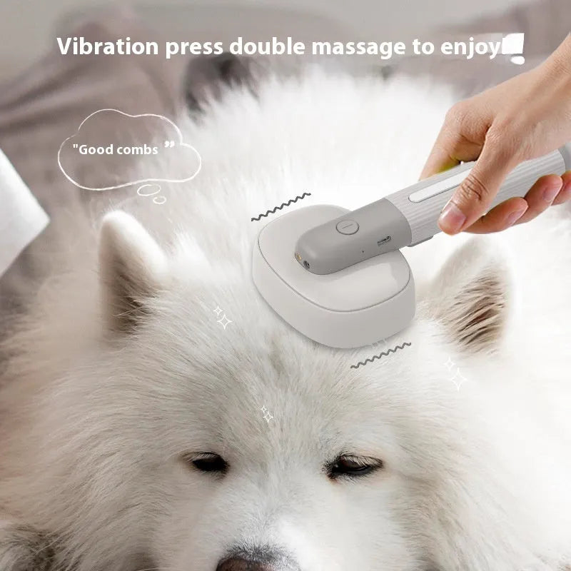 Pet comb for cats and dogs with negative ion, floating hair, electric massage, USB charging, ABS plastic