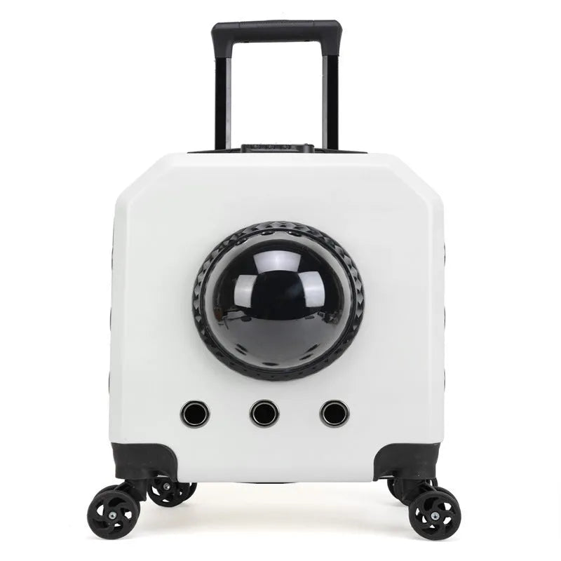 Hard-shell PVC pet flight trolley case for cats, shown in orange with wheels.