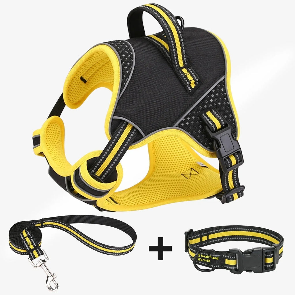 Yellow and orange polyester dog harness and lead set with anti-breaking strap on grass.