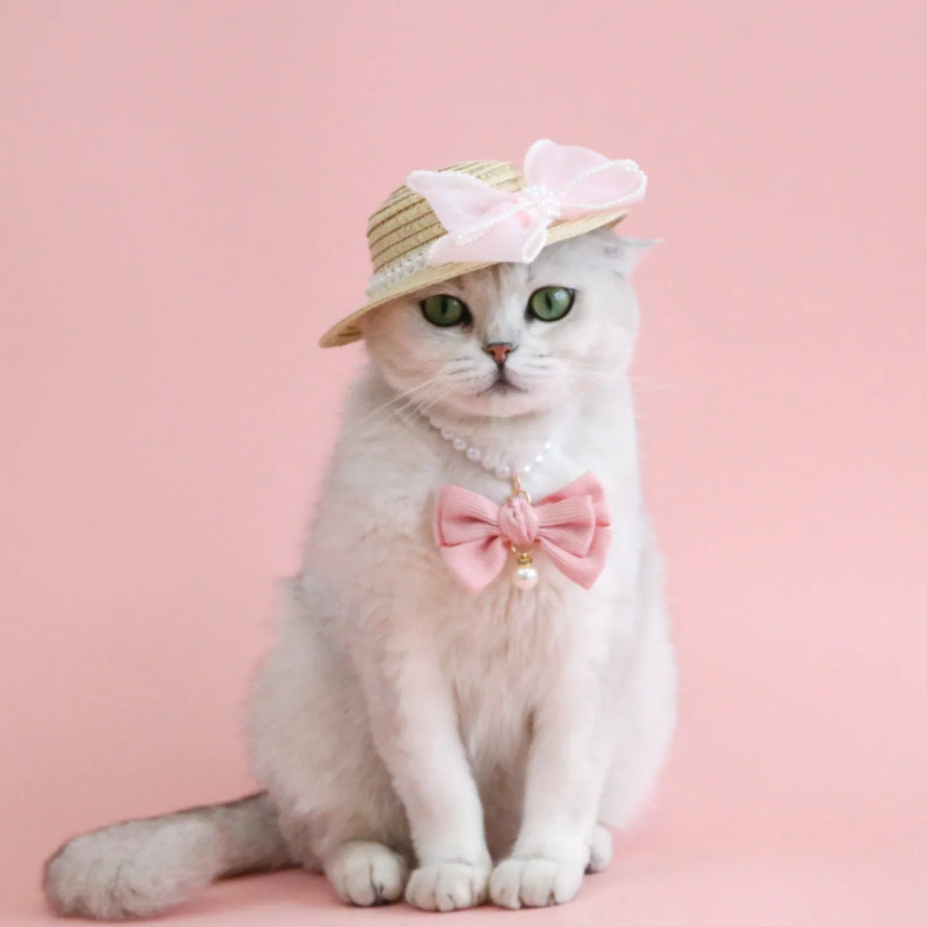 Cat wearing a woven straw hat with a pearl bow decoration in a princess style.