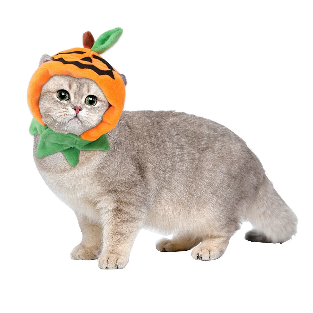 Orange reversible plush Halloween cloak for a dog or cat with pumpkin design.