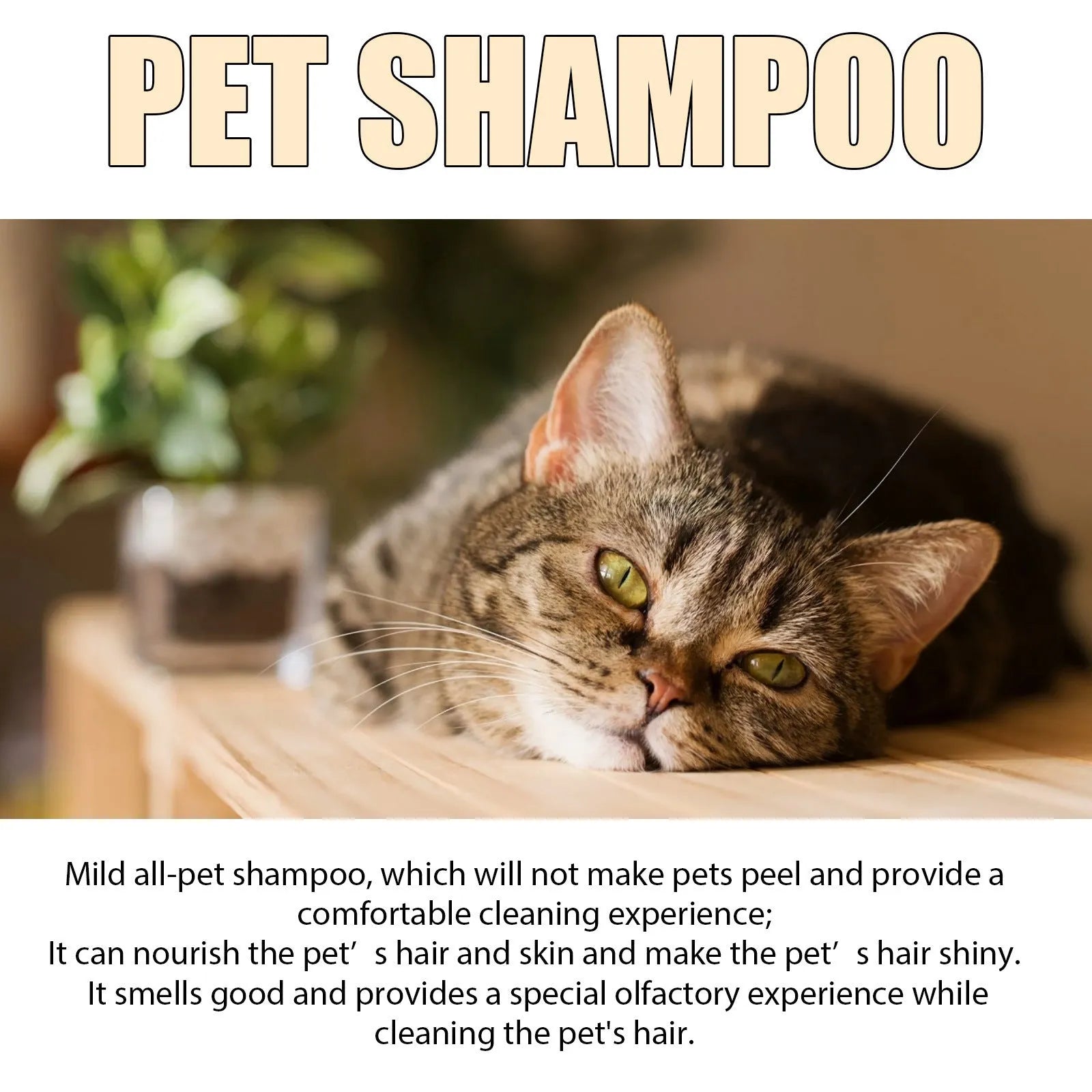 A bottle of mild pet shampoo for dogs and cats, available in 100ml and 300ml sizes.