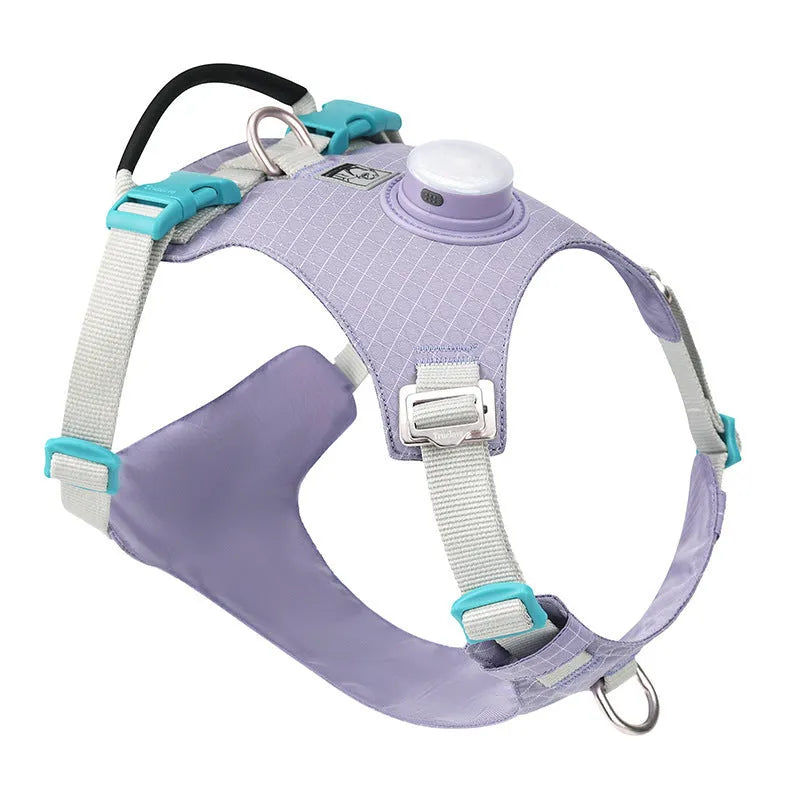 Adjustable dog chest harness with LED night light attachment in multiple colour options
