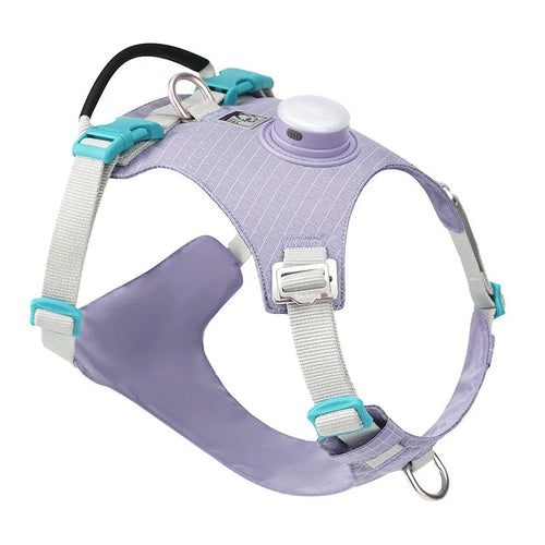 Adjustable dog chest harness with LED night light attachment in multiple colour options