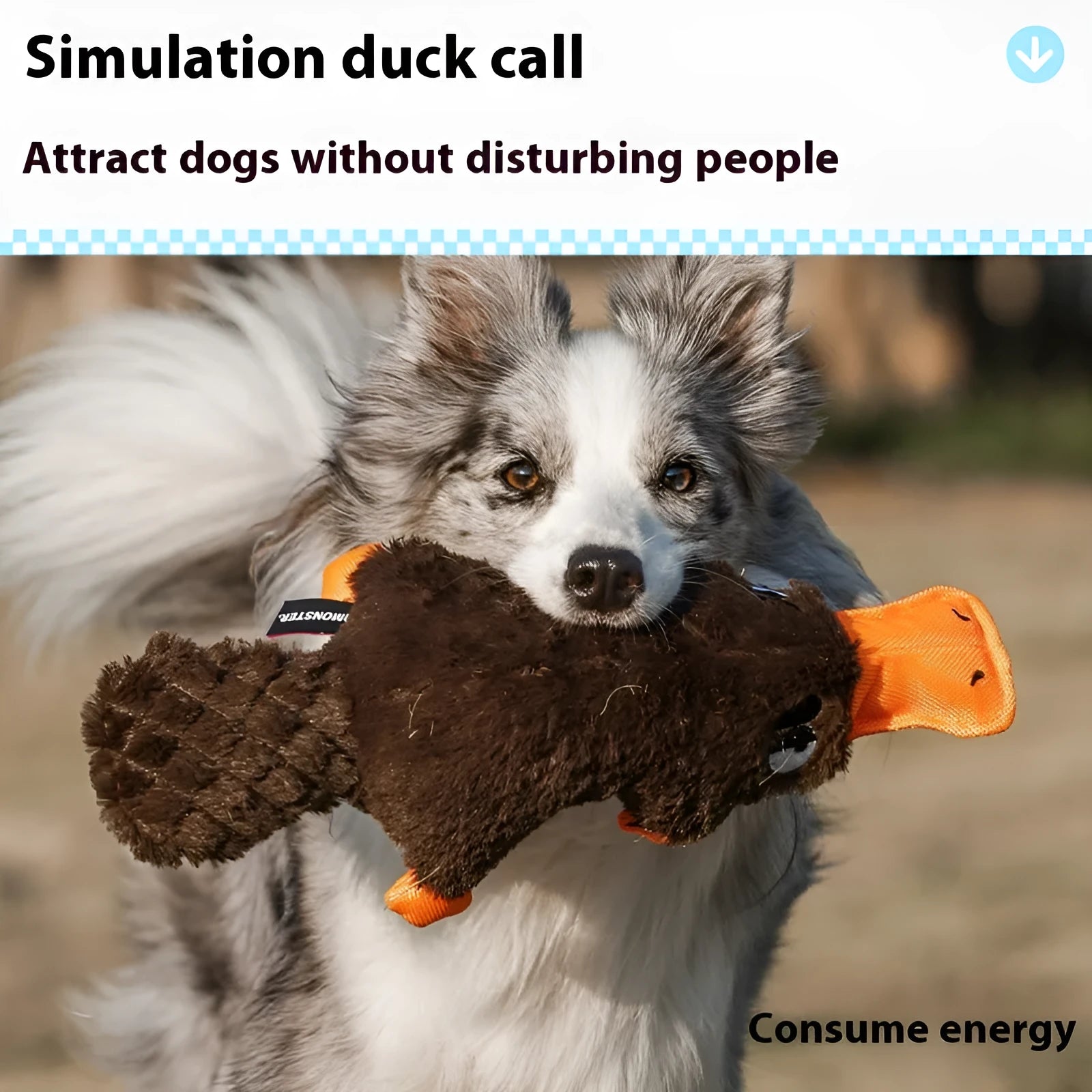 Brown plush platypus dog toy with squeaker on white background