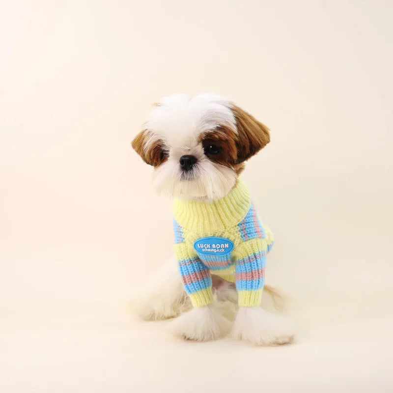 Blue and yellow striped wool dog sweater for small breeds in sizes XS to XXL