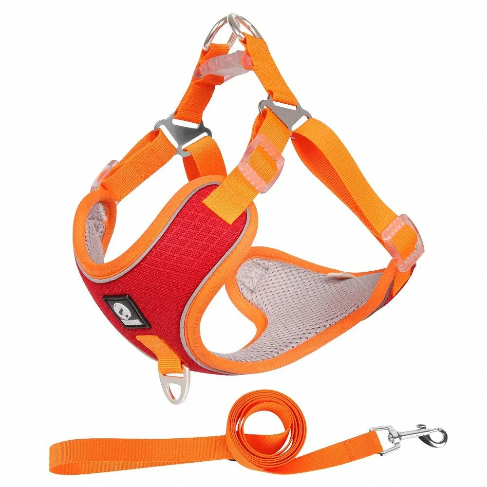 Adjustable breathable dog harness with reflective piping in black, red, grey, or light purple colour options