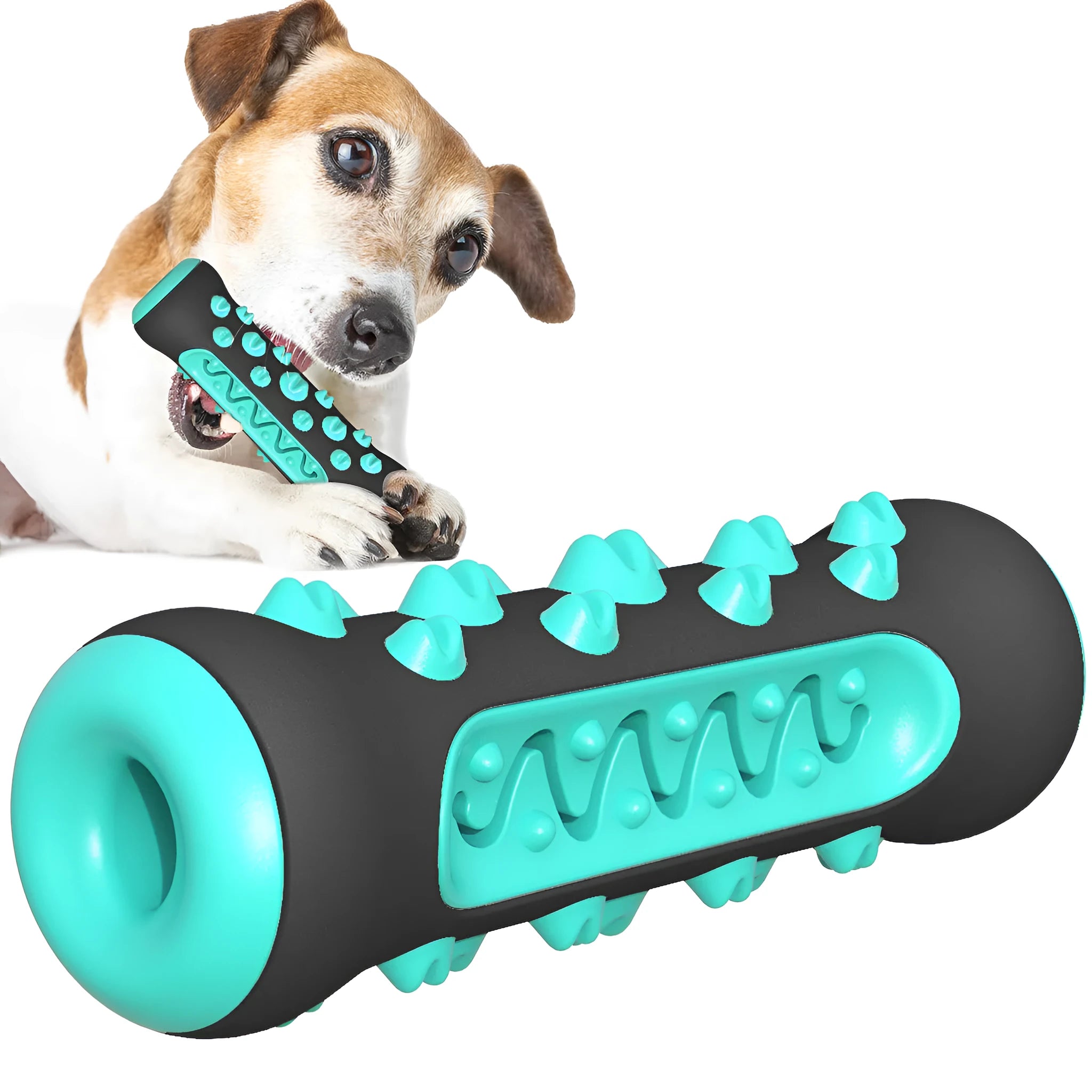 A 15cm long natural rubber dog toothbrush chew toy in assorted colours.