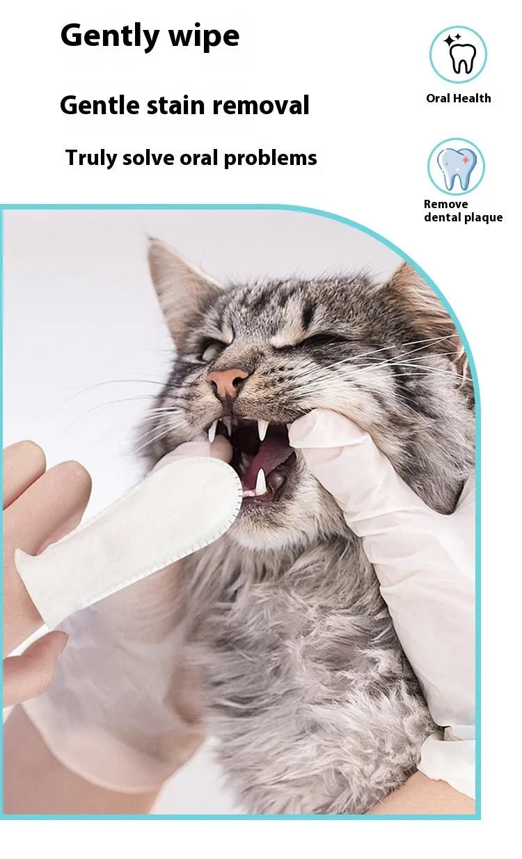 Pack of 50 white non-woven fabric pet dental cleaning finger stalls or cots.