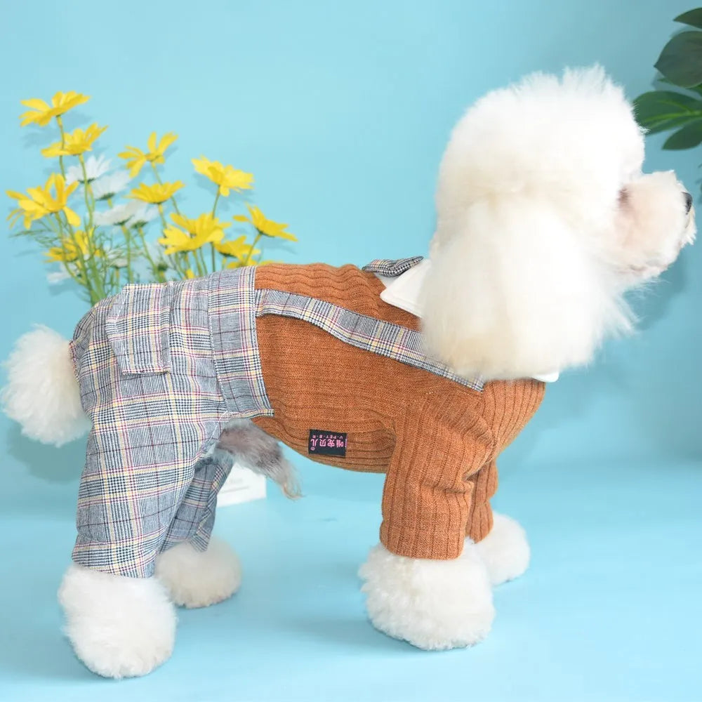 Orange and dark blue cotton dog shirt suit for small dogs, available in sizes S to 2XL.
