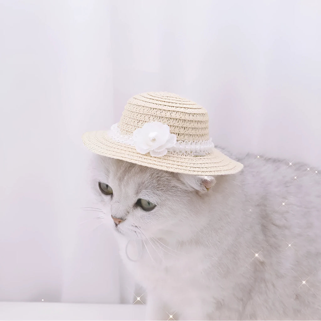 Handmade paper pet hat with bowknot for a dog or cat, shown in a cartoon style