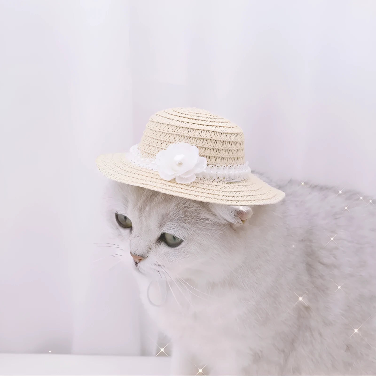 Handmade paper pet hat with bowknot for a dog or cat, shown in a cartoon style