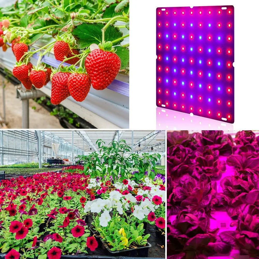 Aluminium full spectrum LED plant grow light with hanging hook for indoor vegetables
