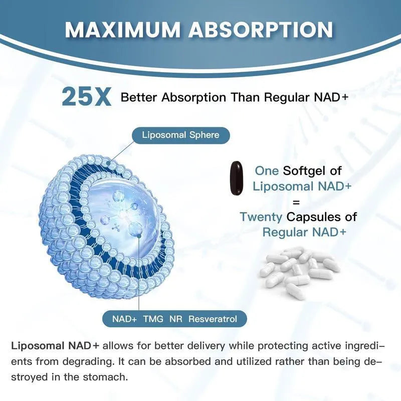 Nicotinamide mononucleotide NMN gel capsules in sealed bottle, 500mg per capsule, extraction formula