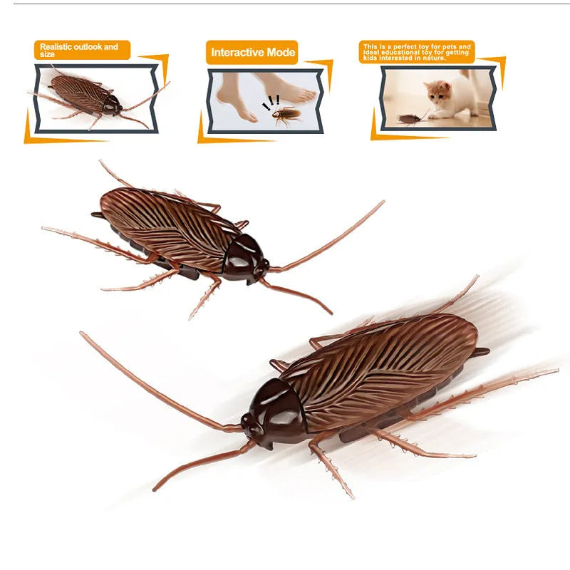 Electric vibration pet toy in four animal designs: cockroach, tarantula, mouse, and dragonfly