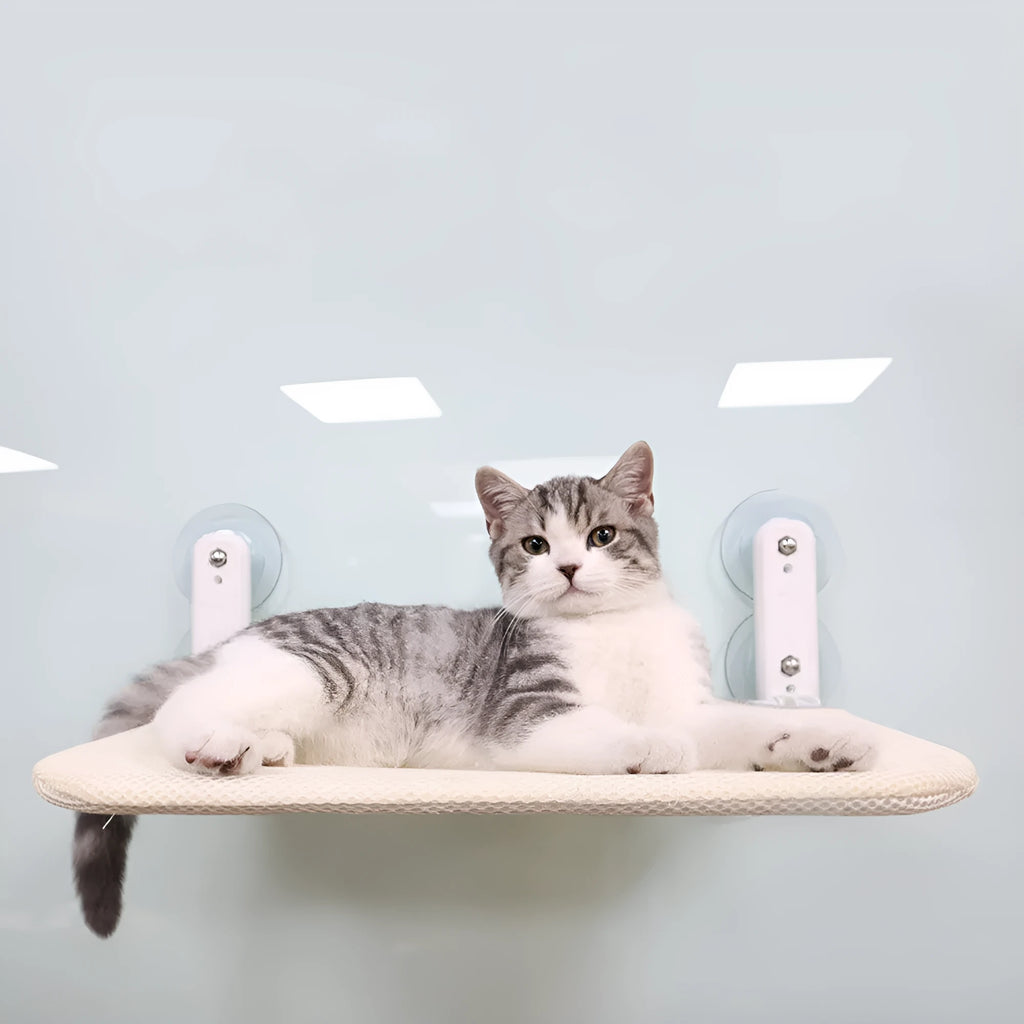 Foldable cat hammock with stainless steel suction cups mounted on a window, available in mesh or plush fabrics.