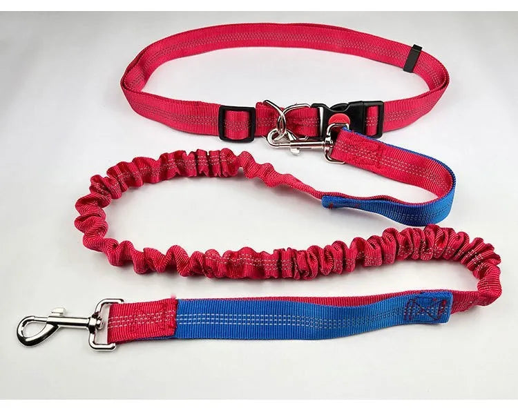 Two-tone reflective dog leash with elastic sling section for outdoor running