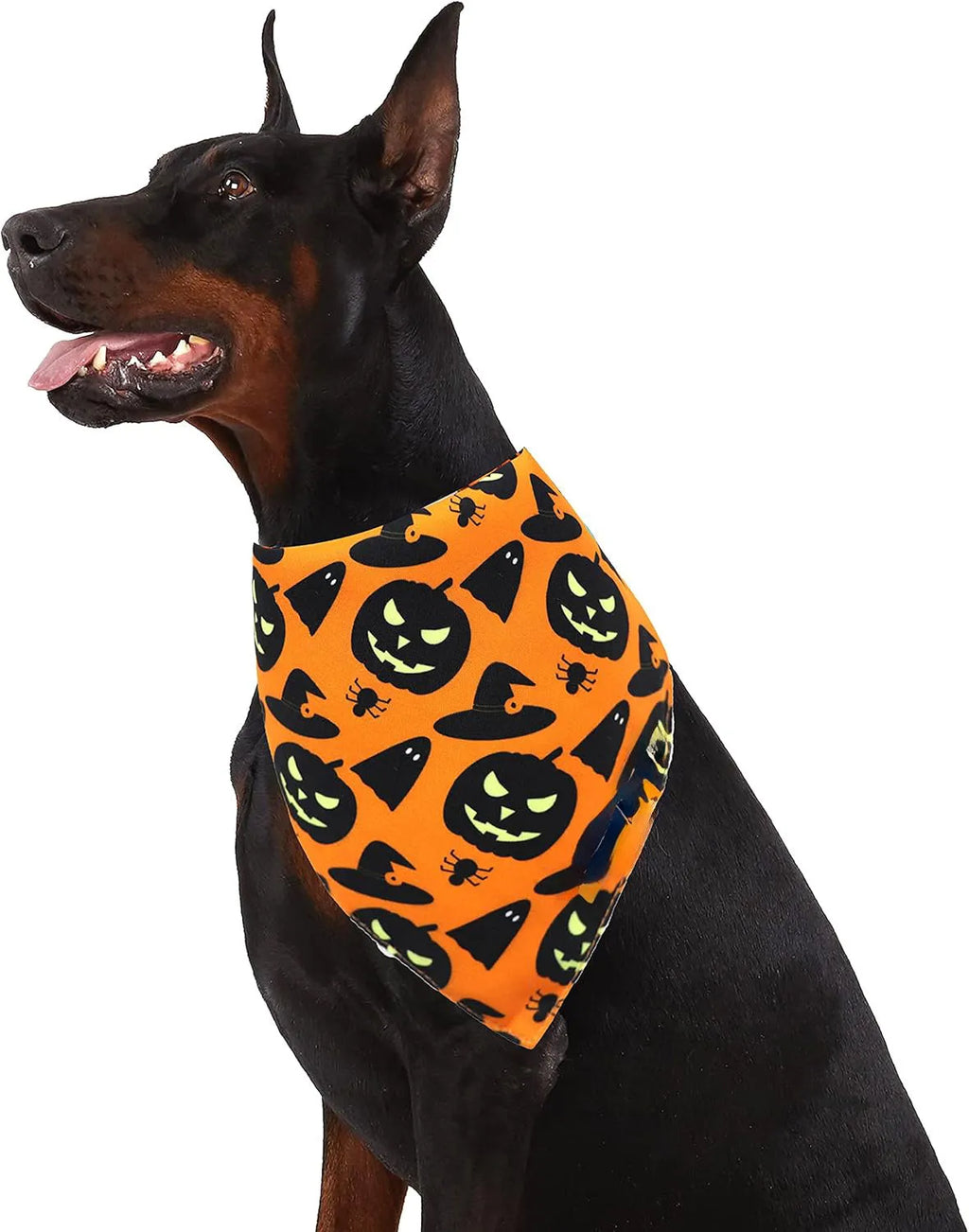 Reversible black and orange Halloween dog bandana with pumpkin and spider web patterns laid flat