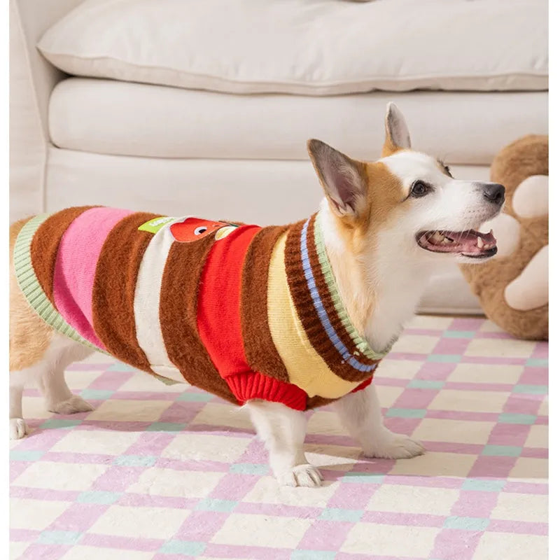 Rainbow apple striped knitted dog pullover sweater for Corgis with apple embroidery, brown and white, autumn winter warm wear.