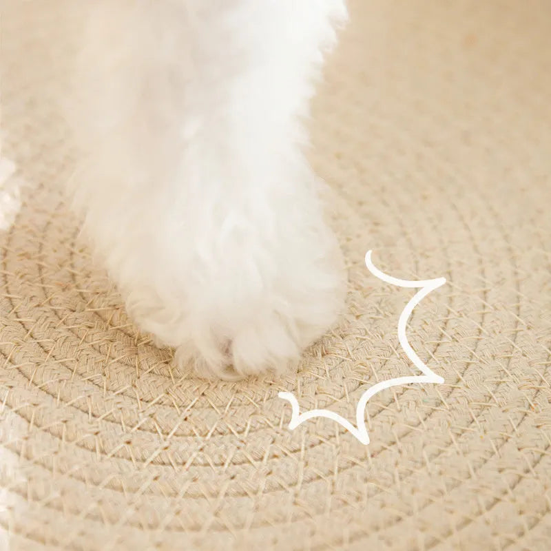 Green oval cat scratcher bed made from sisal, showing its bowl shape and textured scratching surface.
