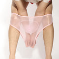 Men's silky nylon briefs with bullet separation pouch in multiple colour options