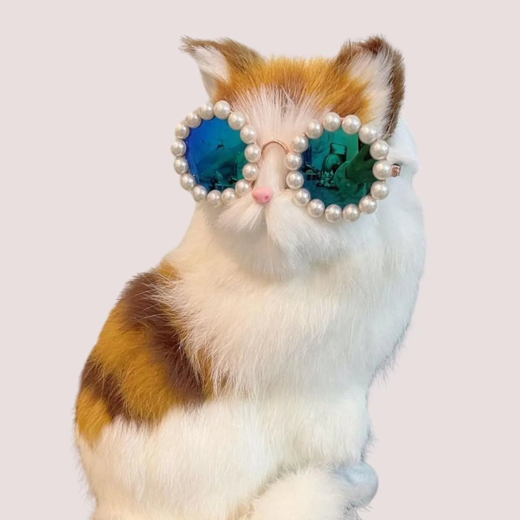 Pearl-rimmed round sunglasses for pets on cat and dog with black, blue, coffee, orange and purple colour options