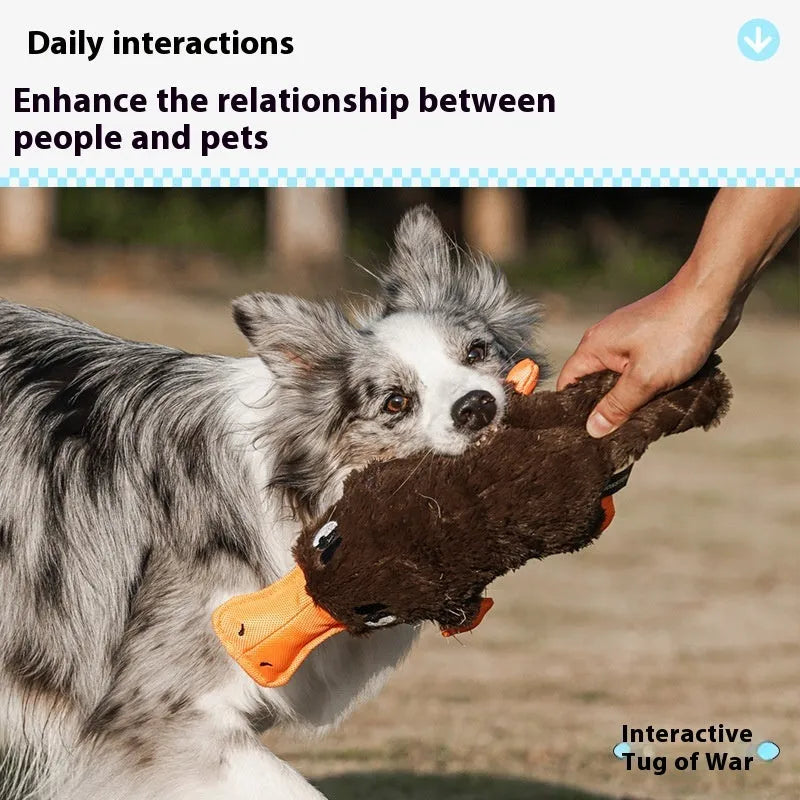 Brown plush platypus dog toy with squeaker on white background