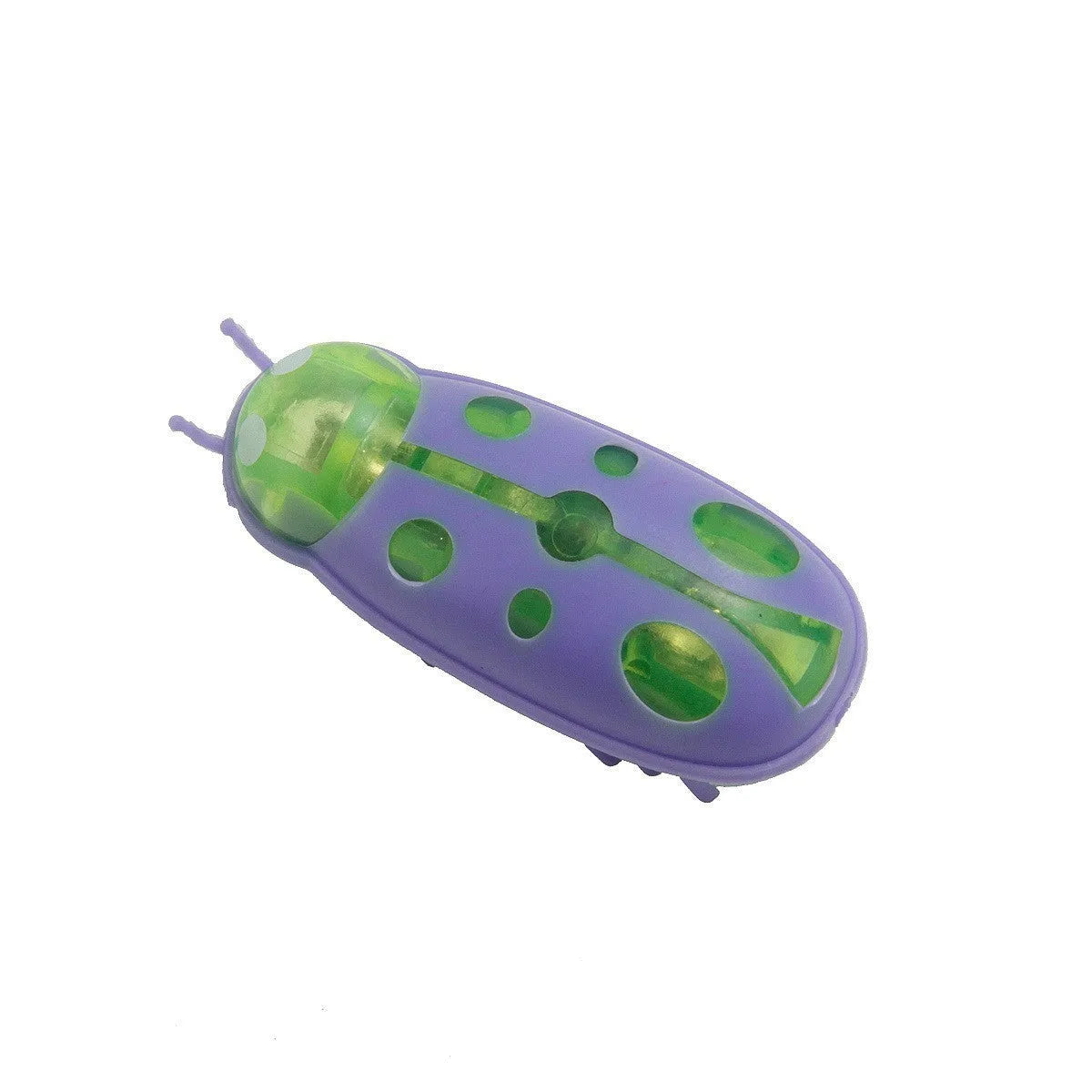 Miniature jumping insect cat teaser toy in plastic showing ladybug and iron cow style colour options