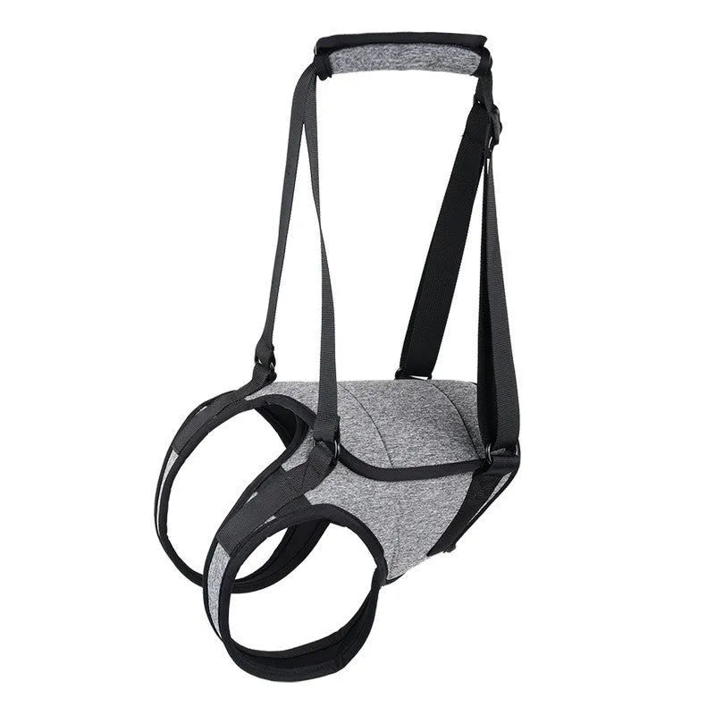 Grey neoprene dog rear leg recovery belt showing waist and thigh support areas