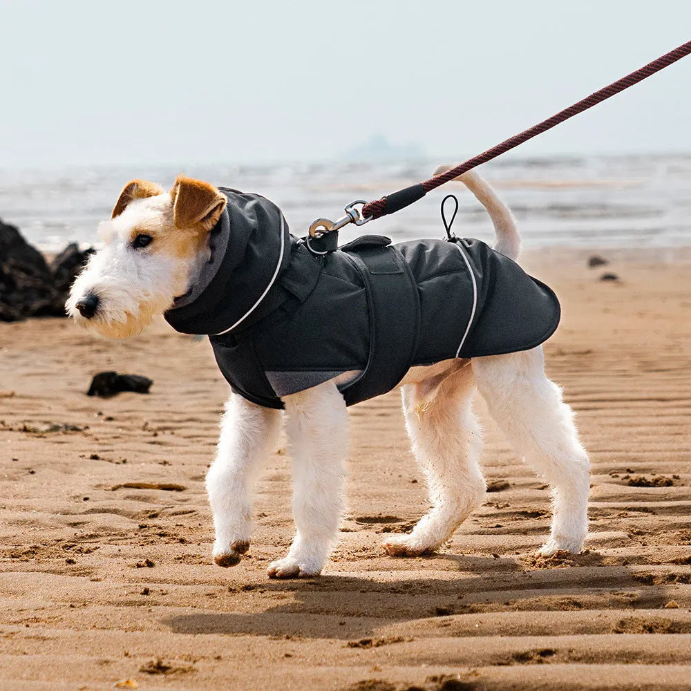 Wind-proof dog shell jacket in beige polyester, British style, for autumn winter walks