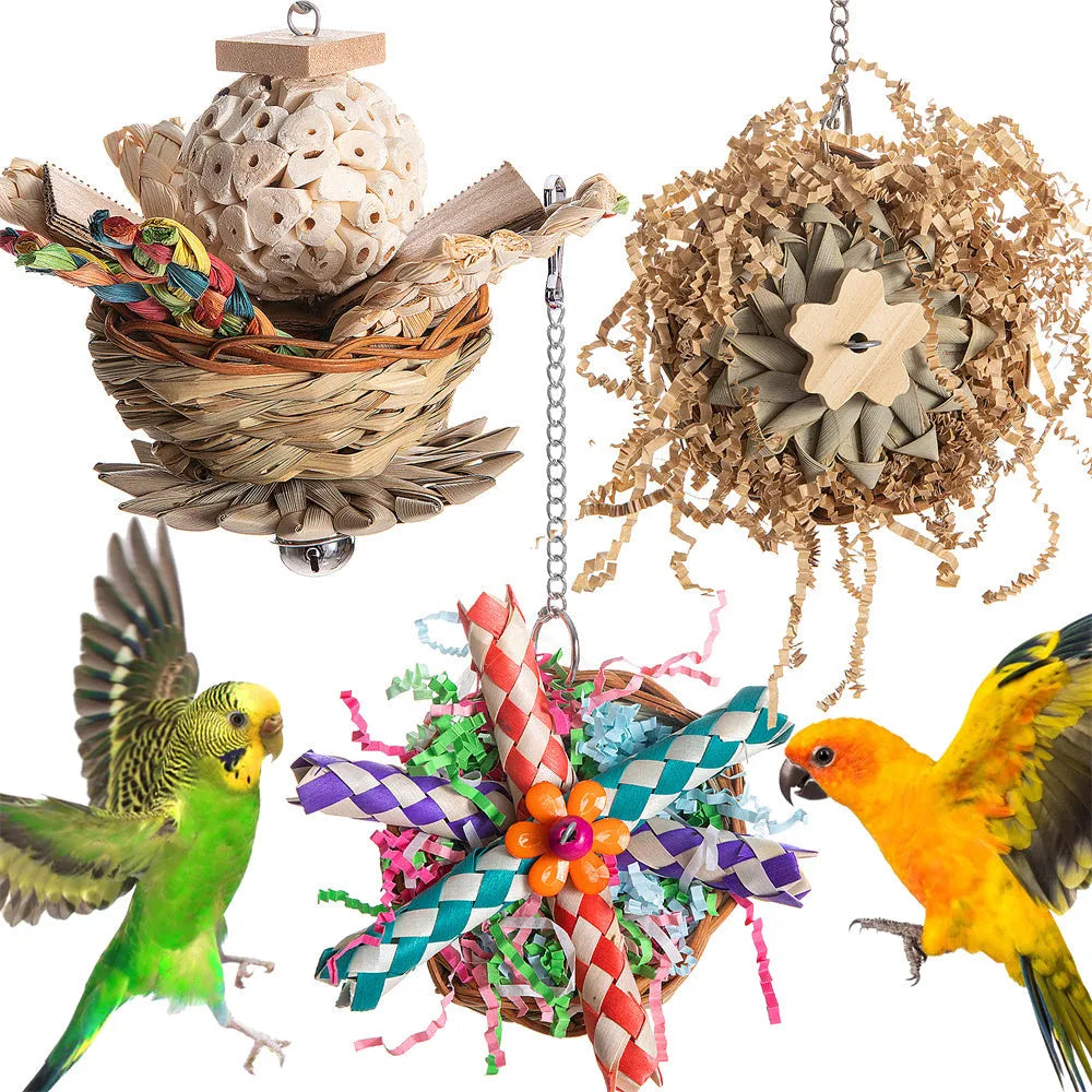 Set of three parrot gnawing molar toys labelled Type A, Type B, and Type C for bird enrichment.