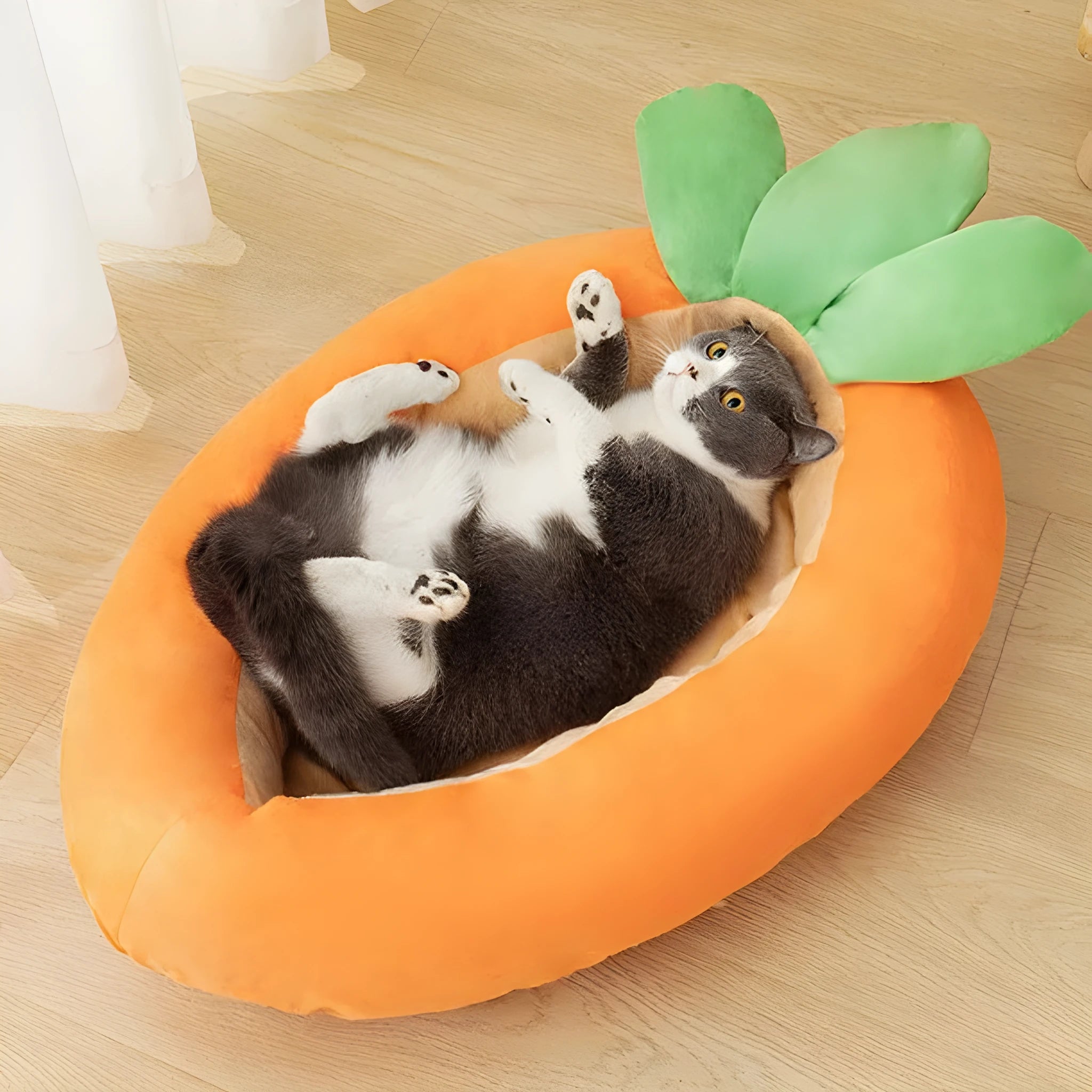 Carrot cartoon pattern reversible pet mat for dogs with waterproof backing