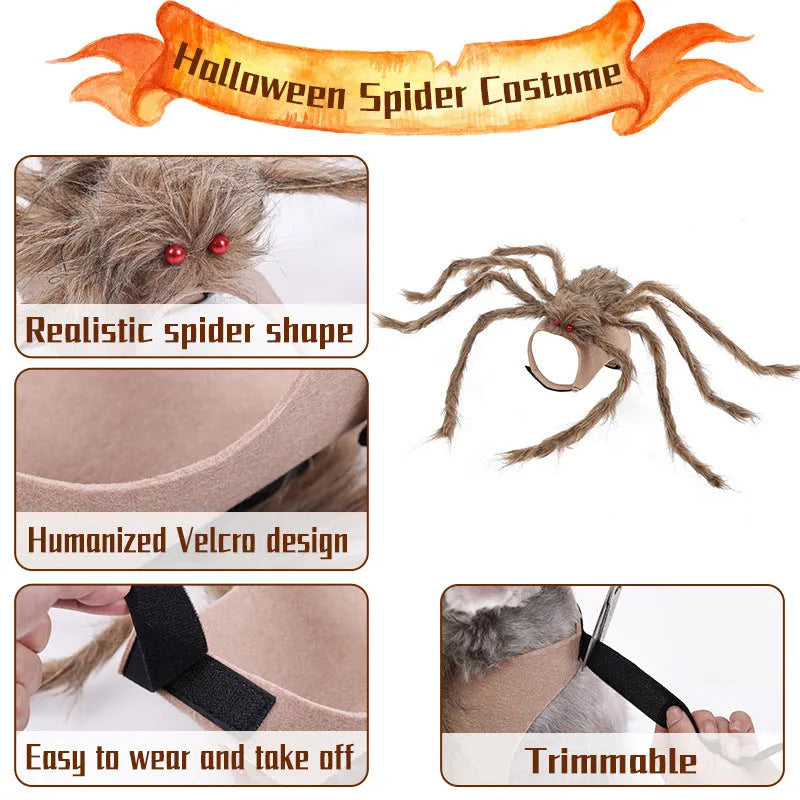 Halloween spider costume for pets in grey, brown, black or purple colours