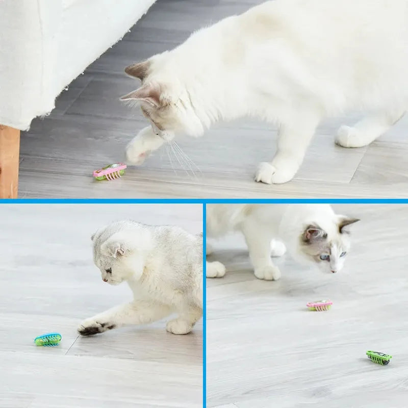 Small electric ladybug cat toy with 12 angular legs on hard floor surface