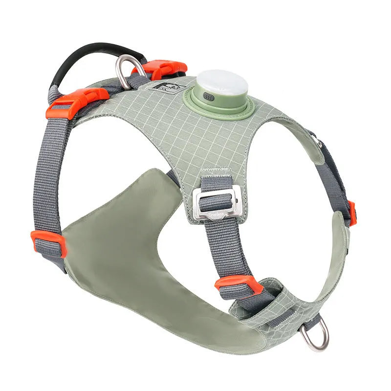 Adjustable dog chest harness with LED night light attachment in multiple colour options