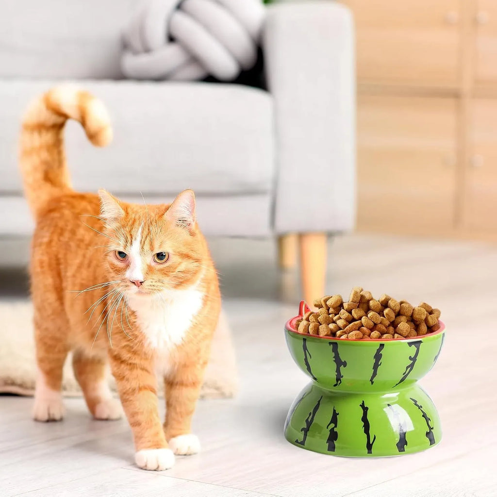 Ceramic raised cat bowl with tilted design in orange pattern, elevated 5 inches from base