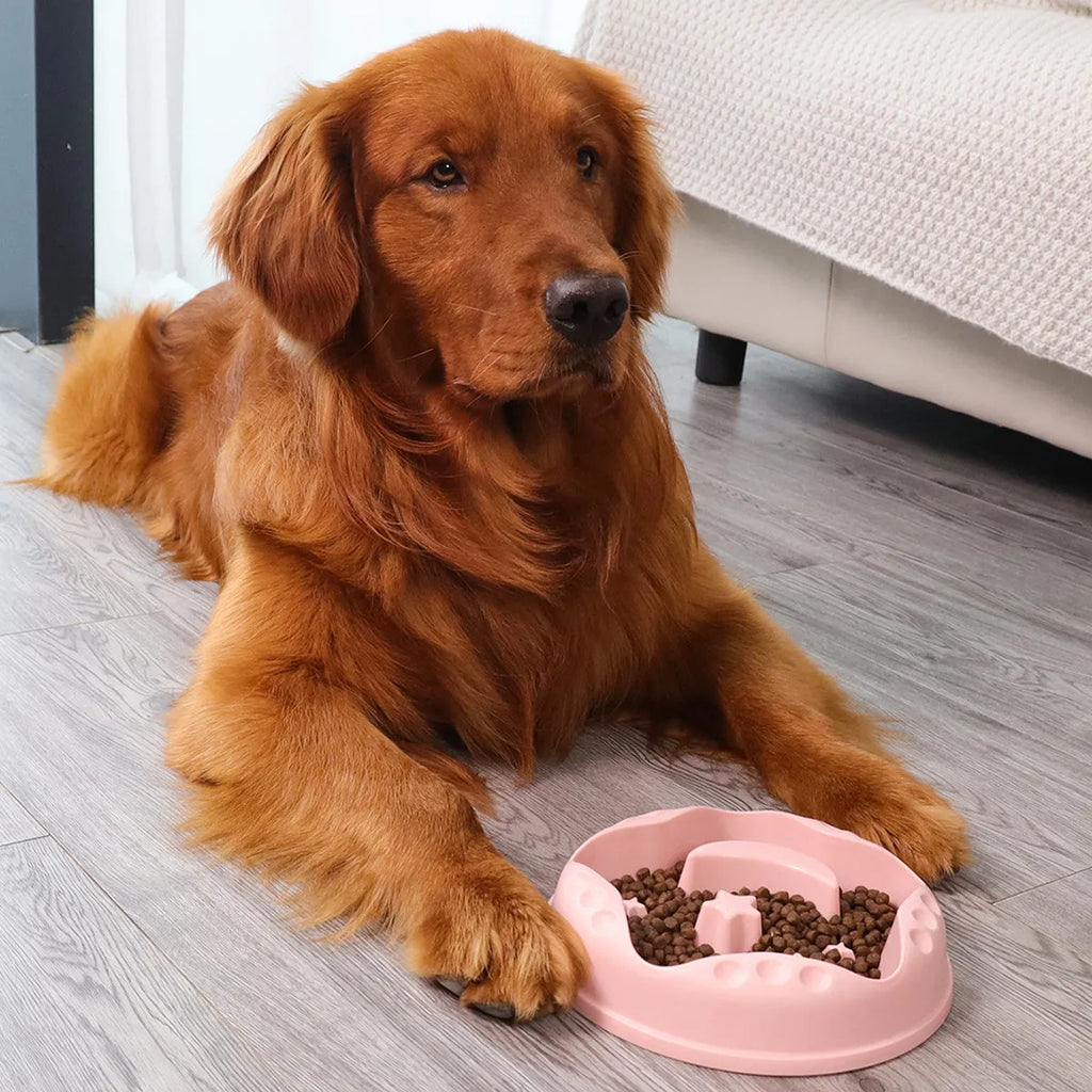 Moon star wings design slow feed dog bowl with interior ridges, non-slip base, in blue colour